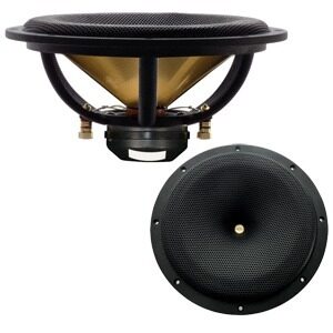 DC Gold Audio N9.5C 9 1/2" Black Neo Magnet 300 Watt 4 Ohm  (pair) Waterproof Marine Speakers