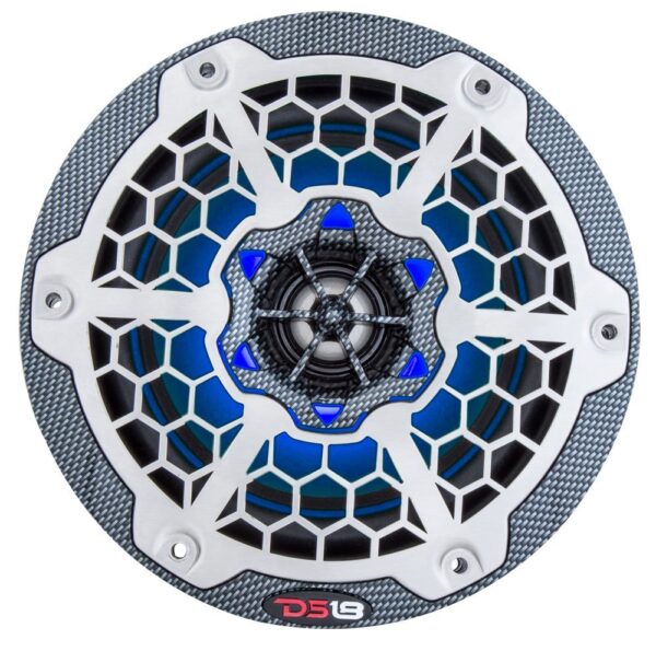 DS18 CF10SUB Black And Silver 10" 425 Watt Waterproof Marine Subwoofer With RGB LED Accent Lighting